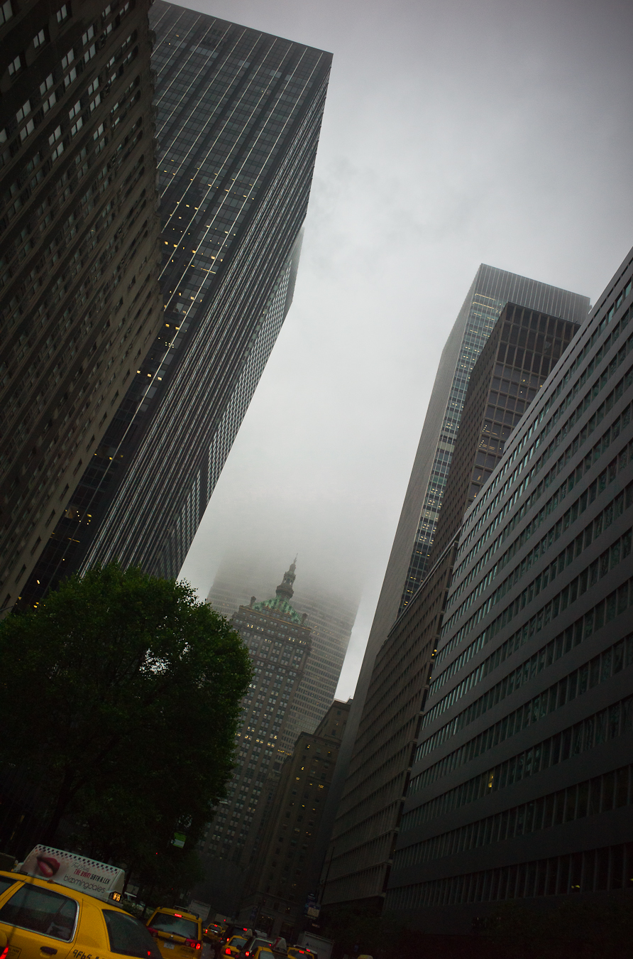 Park Avenue in the Fog