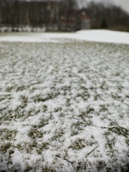 Windswept field Warren Connecticut