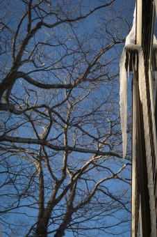 Ice Warren Connecticut