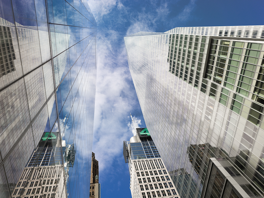 This bank is a sick puppy