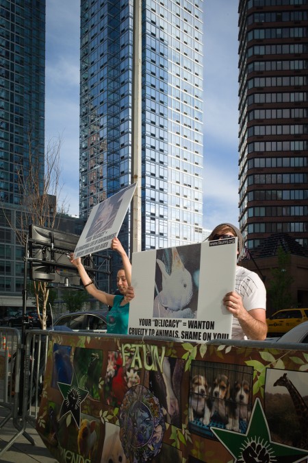 Anti-foie gras demonstrators