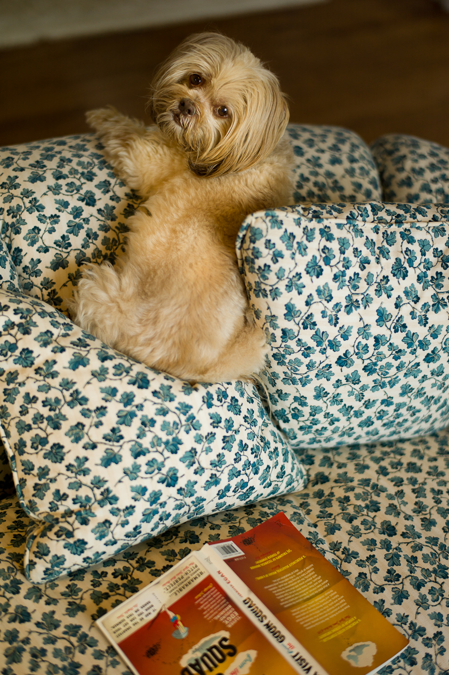 Molly takes a break from reading