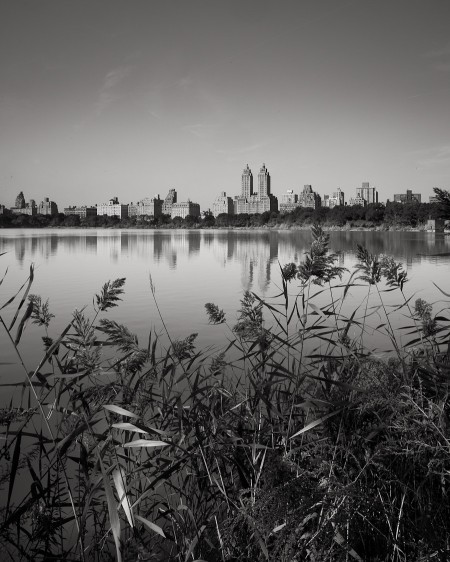 Central Park Reservoir