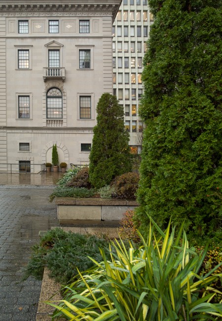 The Italian Institute