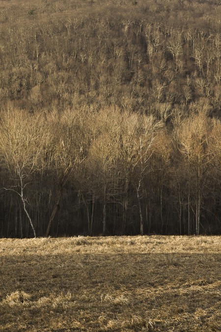 More Warren in good light