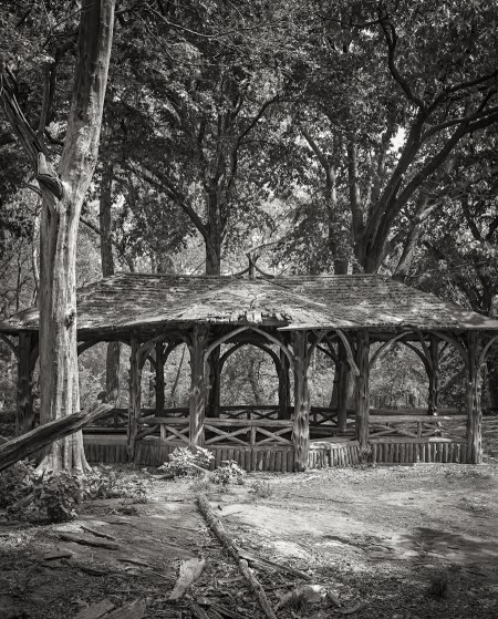 The Ramble Central Park