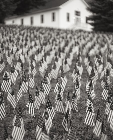 Field of Flags