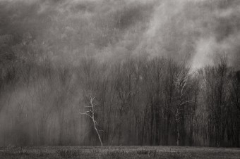 Ground fog Warren CT