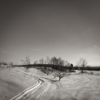 Day 479 of one photograph every day for the rest of my life
