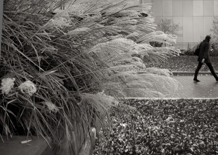 Boston Federal Reserve Bank