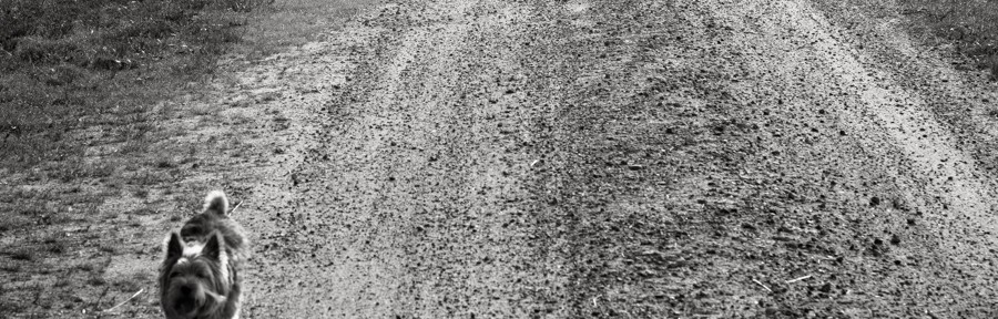 Saturday July 20, 2013