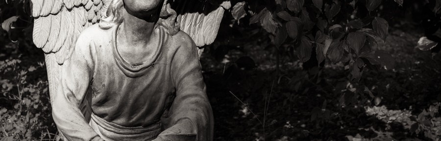 Sunday August 11, 2013