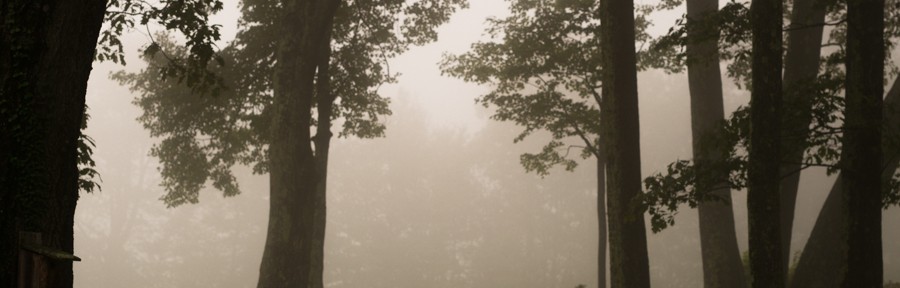 Sunday September 1, 2013