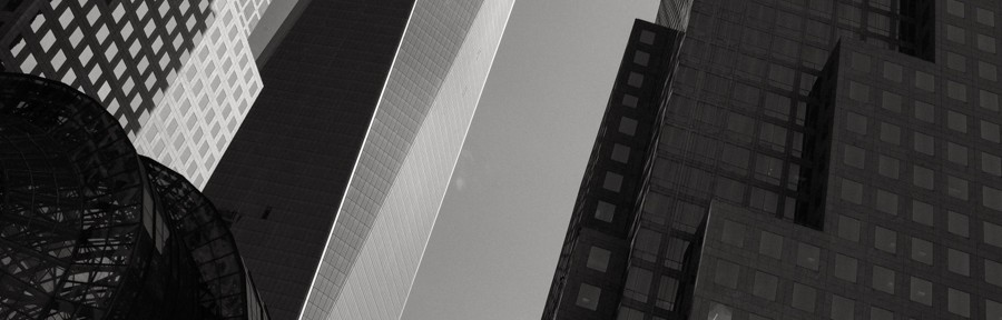 Day 1450 of one picture every day for the rest of my life.