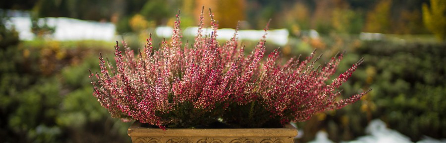 Tuesday October 15, 2013