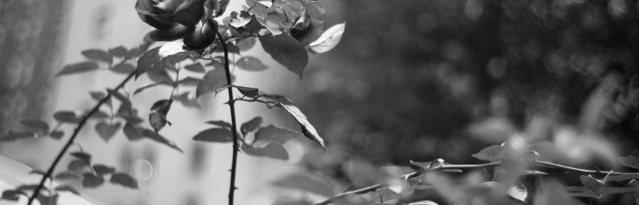 Thursday November 7, 2013