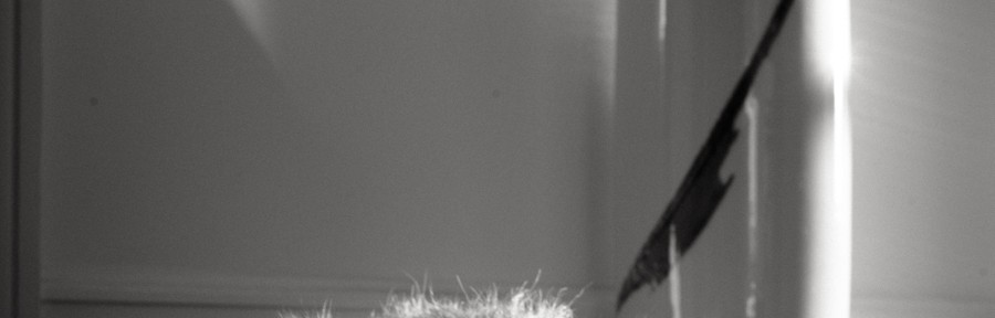 Friday November 8, 2013