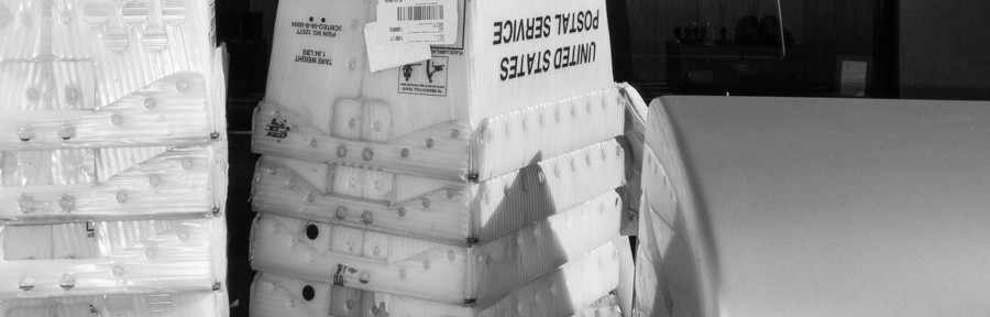 Monday November 11, 2013