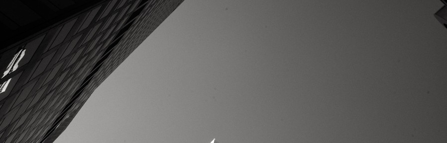 Monday November 25, 2013