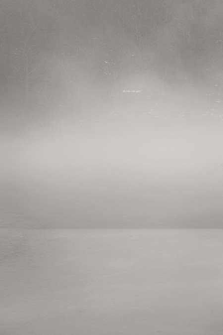 Fog on the Lake