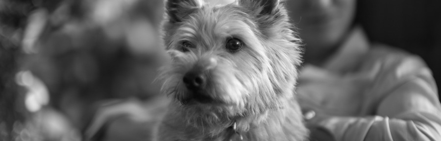 Wednesday December 25, 2013 Christmas Day