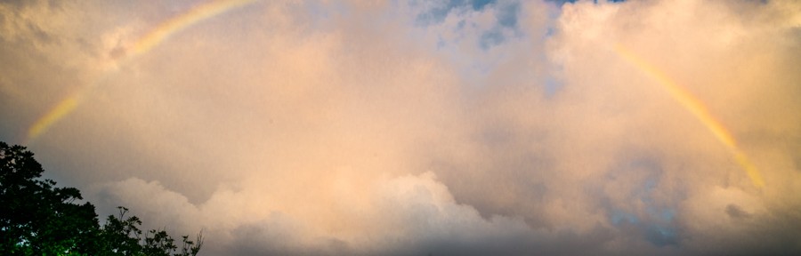 Friday January 31, 2014