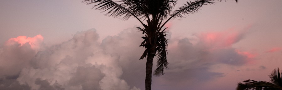 Wednesday February 5, 2014