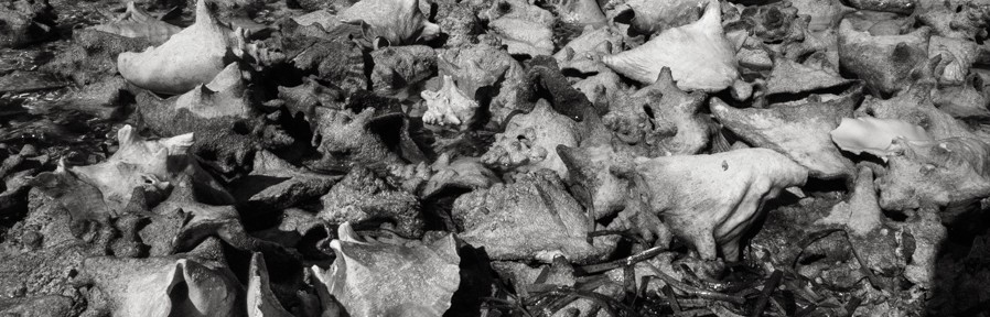 Sunday March 2, 2014