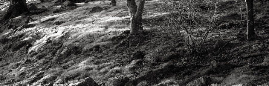 Saturday April 12, 2014