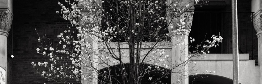 Thursday April 17, 2014