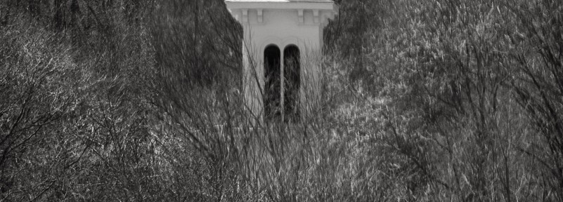 Day 1648 of one photograph every day for the rest of my life.