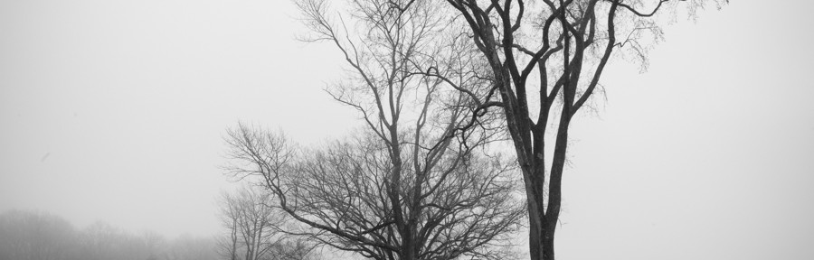 Saturday April 26, 2014