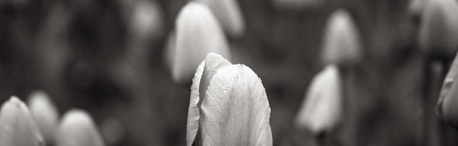 Tuesday April 29, 2014