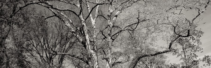 Wednesday May 7, 2014