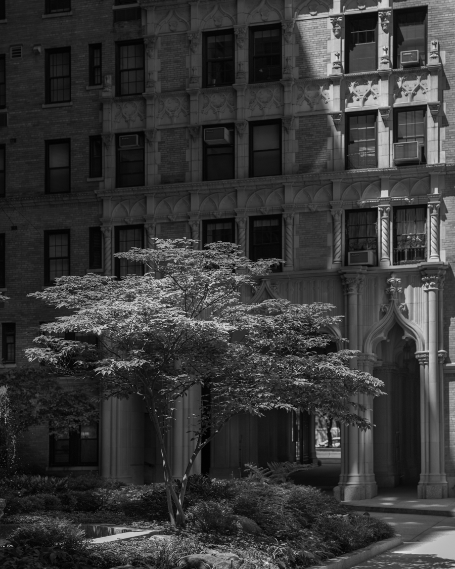 Saturday August 9, 2014