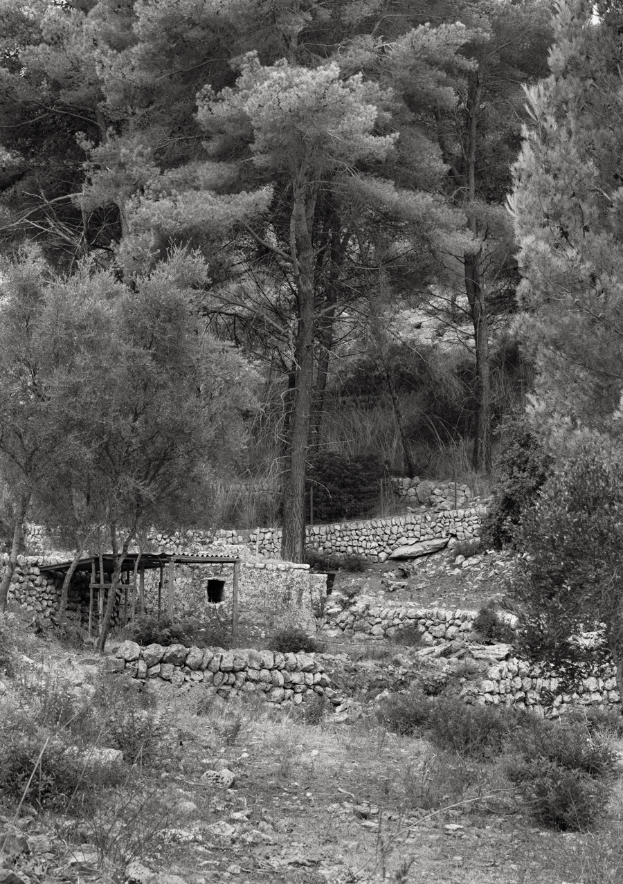 Wednesday August 13, 2014