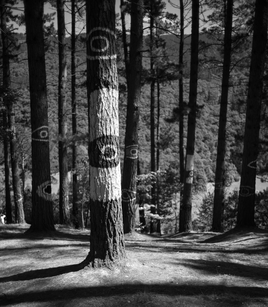 Sunday August 17, 2014