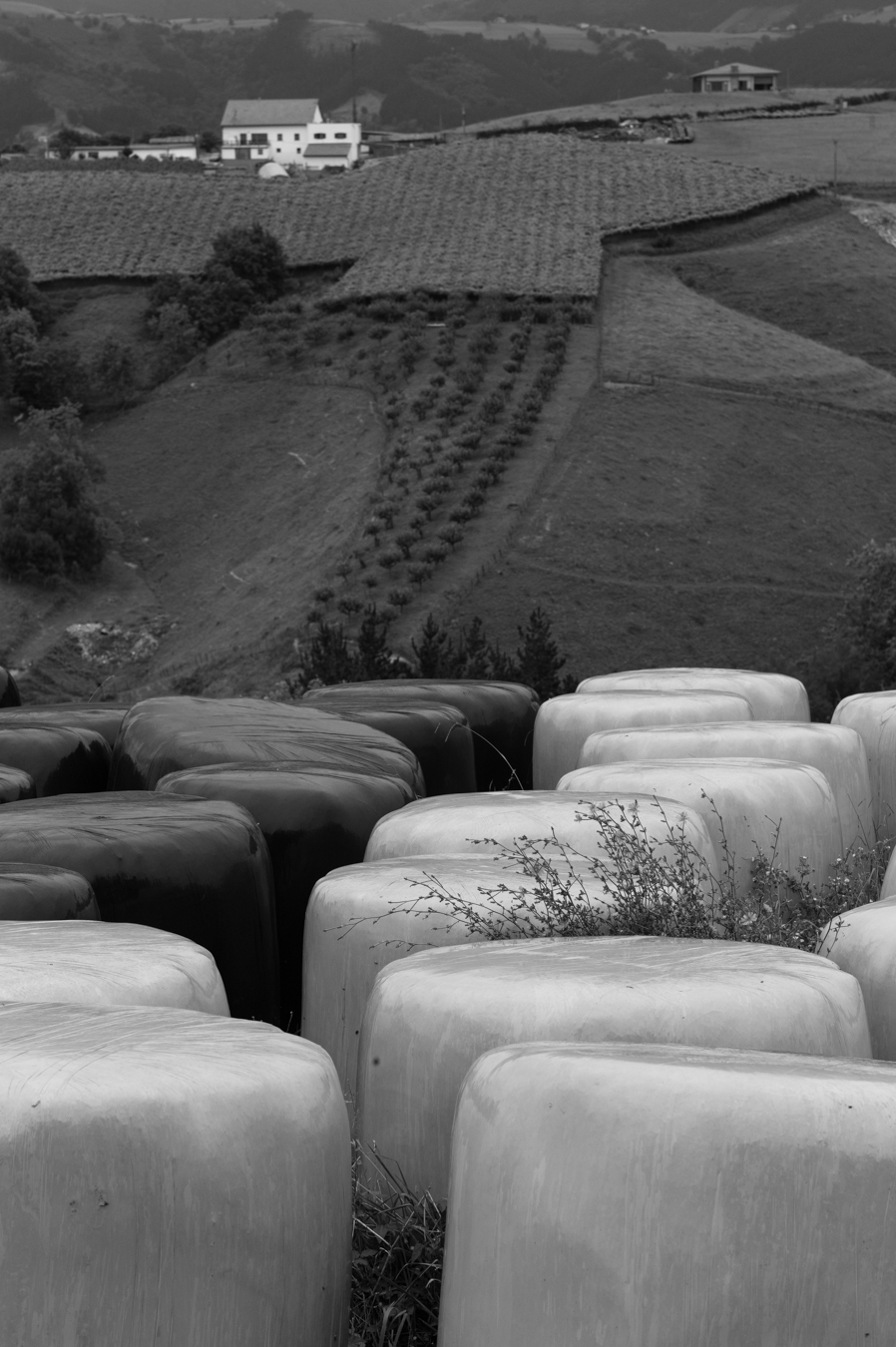 Monday August 18, 2014