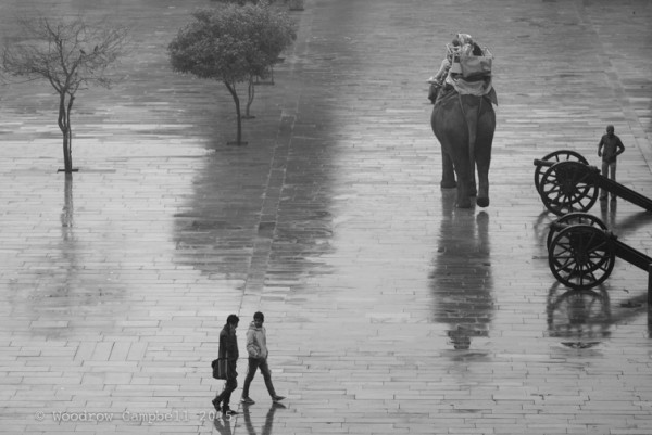 Rain