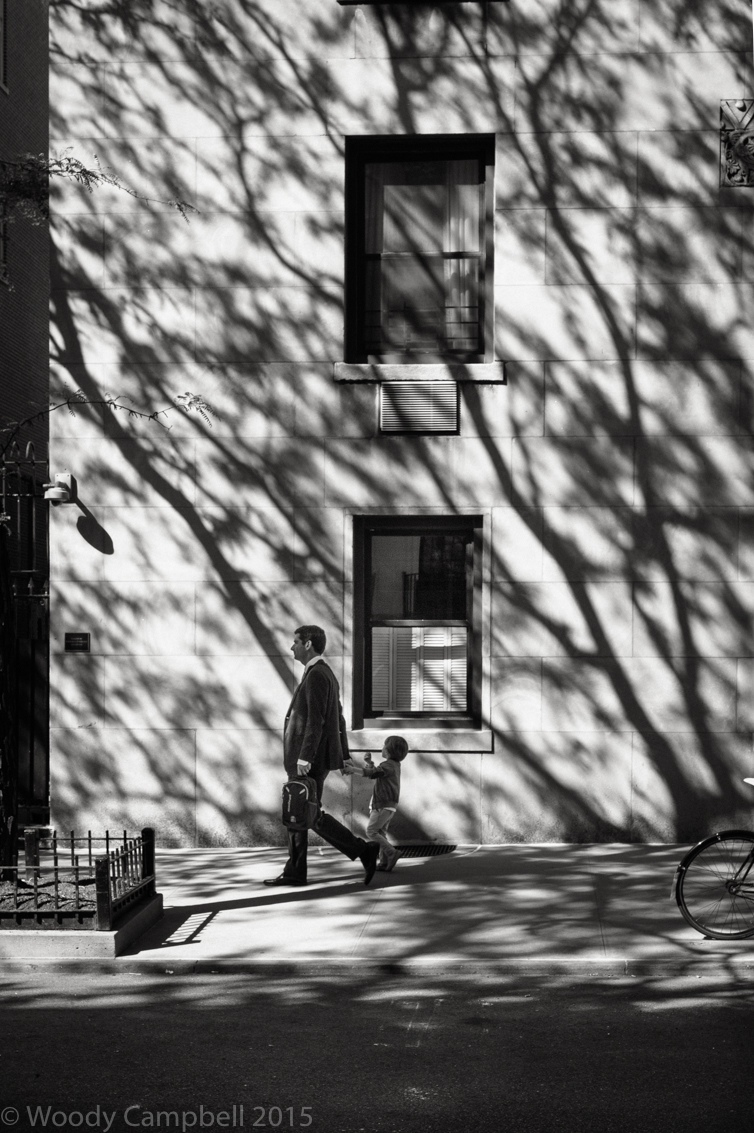 Day 2038 of one photograph every day for the rest of my life.