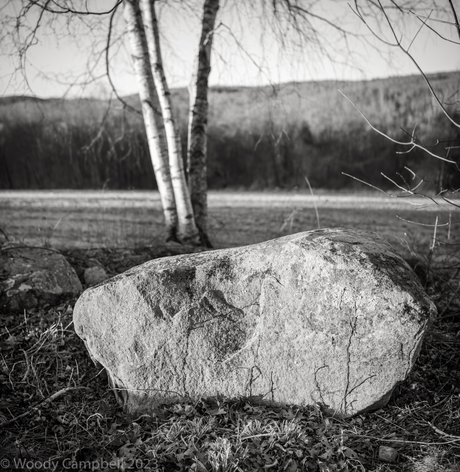 Big rock